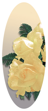 481 DA18-069  Bouquet Of Roses Yellow